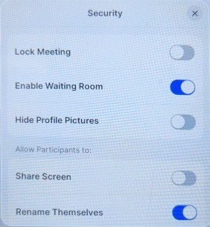 Zoom Meeting Security Contorls